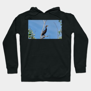 Double-crested Cormorant Perched On a Tree Branch Hoodie